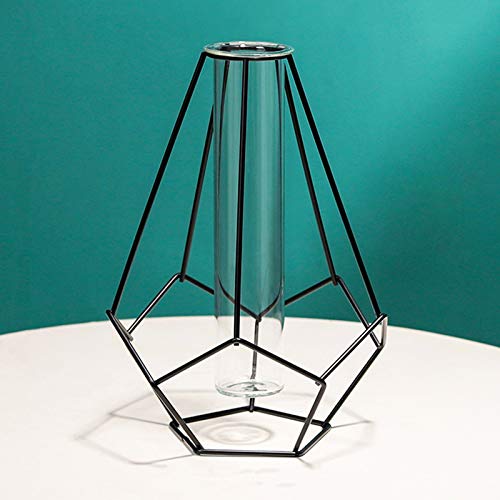 JUOPZKENN Anzuchtstation aus Glas mit Metallrahmen, Blumenpflanzen-Terrarium mit Glasvase, Reagenzglasvase für Hydrokulturpflanzen für Zuhause, Küche, Büro, Tischdekoration(Schwarz B2) von JUOPZKENN