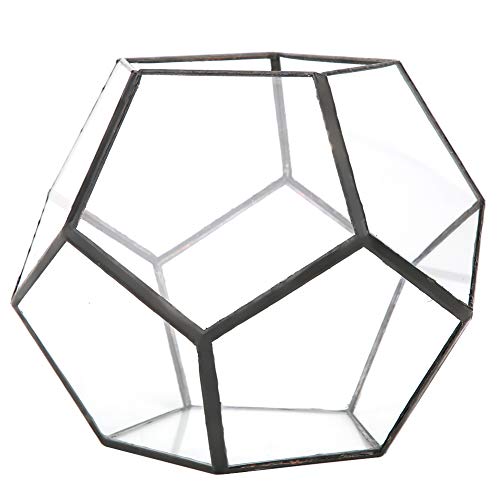 JUOPZKENN Geometrisches Glasterrarium, stilvolle geometrische Form Glas Blumentopf, Sukkulenten Pflanze Pflanzgefäß, Glas Geometrische Terrarium Container für Farn Sukkulenten Pflanzen Kakteen Farn von JUOPZKENN