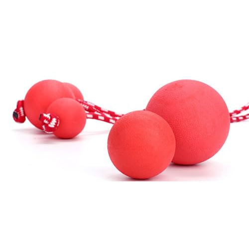 JUOPZKENN Interaktiver Kauball aus Gummi für Haustiere mit Seil, Interaktiver Ballwerfer für Hunde Zum Spielen, Trainieren und Trainieren von Haustieren(5.5cm) von JUOPZKENN