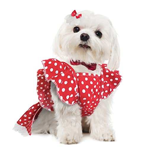 Hundekleid für kleine Hunde, Mädchen, Chihuahua, Yorkies, Hündinnen, Clohtes Haustier, gepunktet, Sommerkleid, Welpen, Tutu, Prinzessinnenkleider mit Hundeschleife, Haarschleifen, Hundekatzen, Rock, Hundekleid für kleine Hunde, Mädchen, Chihuahua, Yorkies, Hündinnen, Clohtes Haustier, gepunktet, Sommerkleid, Welpen, Tutu, Prinzessinnenkleider mit Hundeschleife, Haarschleifen, Hundekatzen, Rock, von JUOZIUI