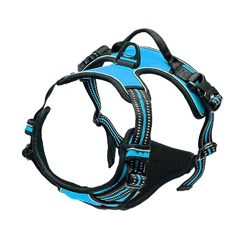 Brustgeschirre Kleine Hunde Leicht Mittelgroße Hunde Leine Hund Hundegeschirr Schnalle Reflektierender Cursor Schnalle Atmungsaktives Bequemes Netz Dickes Nylon-Gurtband (L,Blue) von JUSHZ