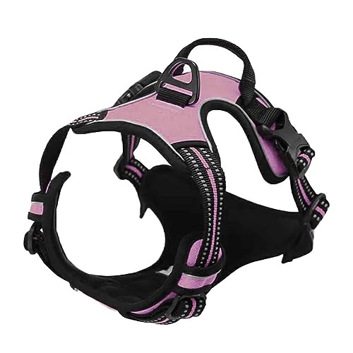 Brustgeschirre Kleine Hunde Leicht Mittelgroße Hunde Leine Hund Hundegeschirr Schnalle Reflektierender Cursor Schnalle Atmungsaktives Bequemes Netz Dickes Nylon-Gurtband (L,pink 1) von JUSHZ