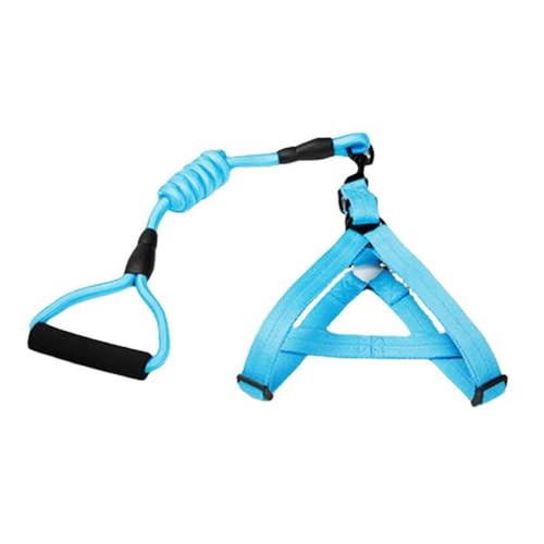 Hundeleine Brustgeschirre Große Hunde Kleine Hunde Leicht Mittelgroße Hunde Leine Hund Leder Verstellbar Hundegeschirr Kordelzug Einstellbar Je Nach Brustumfang des Haustieres (Blue,XL) von JUSHZ