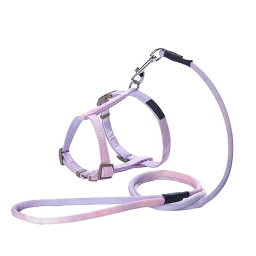 JUSHZ Hundeleine Brustgeschirre Kleine Hunde Leicht Leine Hund Verstellbar Hundegeschirr Kordelzug Verstellbare Geflochtene Katzenleine Um 360 Grad Drehbarer Haken (Purple,S) von JUSHZ