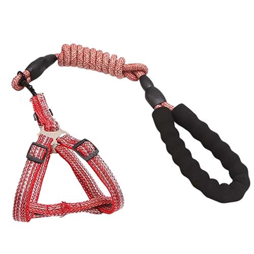 Hundeleine Brustgeschirre Kleine Hunde Leicht Mittelgroße Hunde 3m Leine Hund Hundegeschirr Doppelring Kordelzug Geflochtenes Rundseil Schaumstoffgriff Langlebig 1,2 cm (1.0,red) von JUSHZ