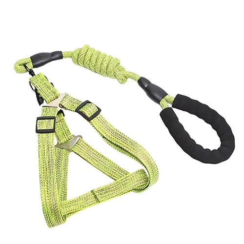 Hundeleine Brustgeschirre Kleine Hunde Leicht Mittelgroße Hunde 3m Leine Hund Hundegeschirr Doppelring Kordelzug Geflochtenes Rundseil Schaumstoffgriff Langlebig 1,2 cm (2.0,Green) von JUSHZ