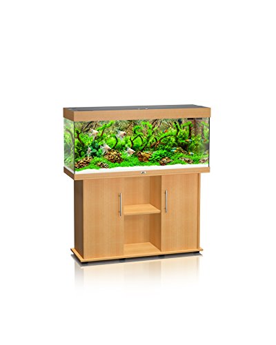 Juwel Aquariumkombination Rio 240, Aquarium mit Unterschrank, Buche von JUWEL