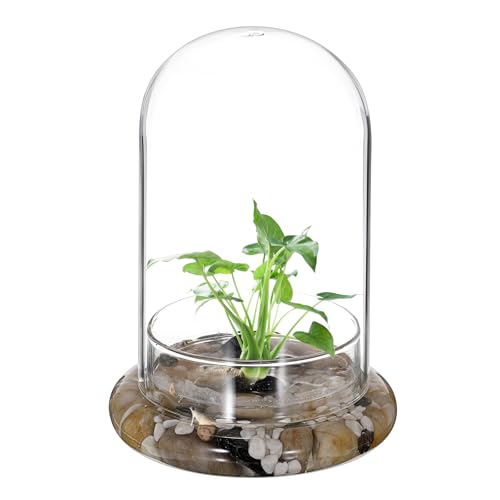 JUXYES Vollständig transparentes Glas-Terrarium-Pflanzgefäß mit Luftloch, Klarglas-Display, Kuppel, Glocke, Terrarienglas, staubdicht, Tisch-Display, klares Terrarium für Hydrokultur-Pflanzen und von JUXYES