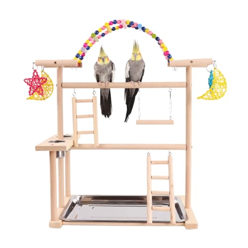 JUYAXIN Stehendes Kauspielzeug Set Hängematte Vogelspielständer Holz Gym Ständer Leiter für Papageien und kleine Vogel JUYAXIN Stehendes Kauspielzeug Set Hängematte Vogelspielständer Holz Gym Ständer Leiter für Papageien und kleine Vogel von JUYAXIN