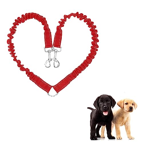 JVHLOV Hundeleine für 2 Hunde, Doppelleine Verstellbar 360°Drehbar, für kleine, Mittlere und Große Hunde JVHLOV Hundeleine für 2 Hunde, Doppelleine Verstellbar 360°Drehbar, für kleine, Mittlere und Große Hunde von JVHLOV