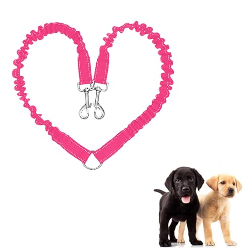 JVHLOV Hundeleine für 2 Hunde, Doppelleine Verstellbar 360°Drehbar Hundeleine, Double Dog Doppelleine Gehen Trainer Leine für Zwei Hunde, für kleine, Mittlere und Große Hunde JVHLOV Hundeleine für 2 Hunde, Doppelleine Verstellbar 360°Drehbar Hundeleine, Double Dog Doppelleine Gehen Trainer Leine für Zwei Hunde, für kleine, Mittlere und Große Hunde von JVHLOV