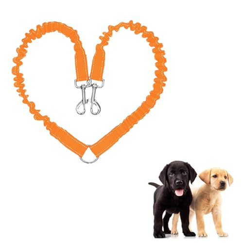 JVHLOV Hundeleine für 2 Hunde, Doppelleine Verstellbar 360°Drehbar Hundeleine, Double Dog Doppelleine Gehen Trainer Leine für Zwei Hunde, für kleine, Mittlere und Große Hunde JVHLOV Hundeleine für 2 Hunde, Doppelleine Verstellbar 360°Drehbar Hundeleine, Double Dog Doppelleine Gehen Trainer Leine für Zwei Hunde, für kleine, Mittlere und Große Hunde von JVHLOV