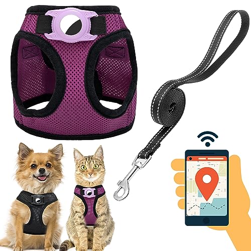 JVVGPET Hundegeschirr mit Airtag-Halterung für kleine Hunde, Welpen, Katzen, kein Ziehen, für kleines Hundegeschirr und reflektierende Hundeleine, Set für Spaziergänge, Training, Reisen, Fellpflege, JVVGPET Hundegeschirr mit Airtag-Halterung für kleine Hunde, Welpen, Katzen, kein Ziehen, für kleines Hundegeschirr und reflektierende Hundeleine, Set für Spaziergänge, Training, Reisen, Fellpflege, von JVVGPET
