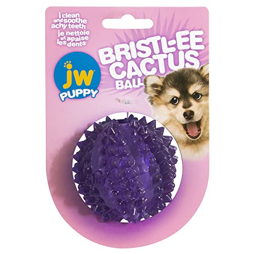 JW Bristly Cactus Ball – Zahnspielzeug zur Entlastung von Welpen – Kauball für Welpen – weiches und Robustes strukturiertes Gummi – Massiert das Zahnfleisch – Einheitsgröße von JW