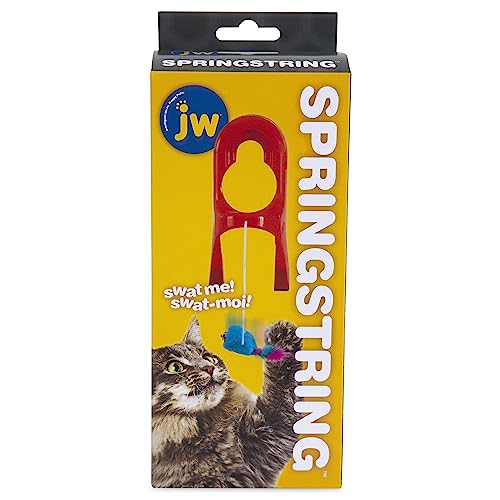 JW JW0471045 Cataction Spring String, Spielzeug, um Ihre Katze in Ihrer Abwesenheit zu beschäftigen von JW