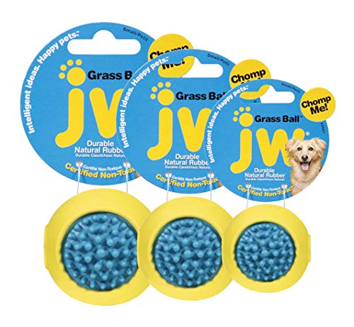 JW JW43068 Grass Ball, Zahnkugel für Hunde, M von JW