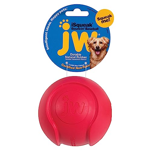 JW JW440037 Isqueak Boucin'Baseball, Quietschen Dicker Gummibaseball für Hunde, L von JW