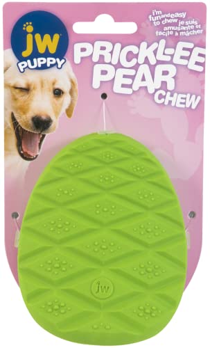 JW - Prickly Pear Chew - Zahnspielzeug zur Entlastung von Welpen - Beißring für Welpen - Weiches, Robustes, strukturiertes Gummi - massiert das Zahnfleisch - Einheitsgröße JW - Prickly Pear Chew - Zahnspielzeug zur Entlastung von Welpen - Beißring für Welpen - Weiches, Robustes, strukturiertes Gummi - massiert das Zahnfleisch - Einheitsgröße von JW