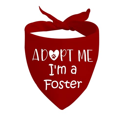JXGZSO 1 Stück Adopt Me I'm a Foster Hundehalstuch Adopted Hundehalstuch Baby Hund Ankündigung Hundehalstuch (I'm a Foster D) von JXGZSO