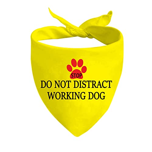 JXGZSO 1 Stück Dot Not Pet Working Dog/Do Not Distract/Ignore Me Working Dog Bandana (Distract Work D) von JXGZSO