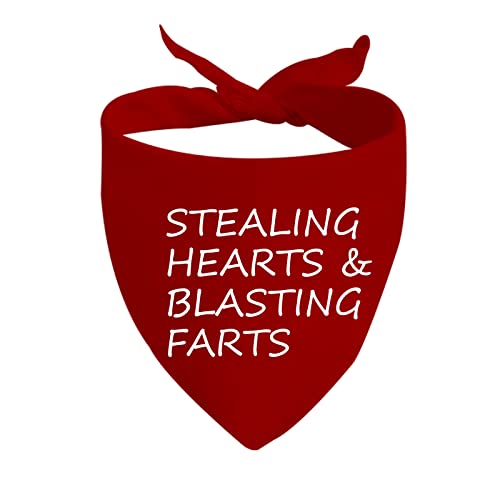 JXGZSO 1 Stück Free Kisses/Will You Be My Valentine/Stealing Hearts Hundehalstuch, Valentinstag, Halstuch, Herzen & Strahlende Farts D) von JXGZSO