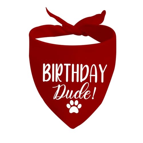 JXGZSO 1 Stück Geburtstagstuch, Hunde-Halstuch, Geburtstagsparty, Welpen-Bandana (Birthday Dude Dog) von JXGZSO