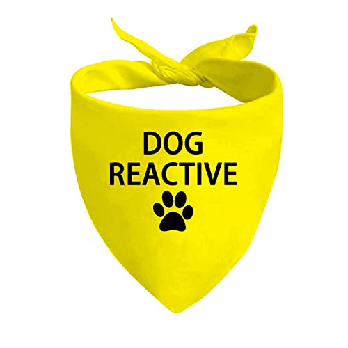 JXGZSO 1 Stück Hundehalstuch, reaktives Training im Fortschritt/Hund, reaktives Hunde-Bandana, Geschenk (Hund reaktiv D) von JXGZSO