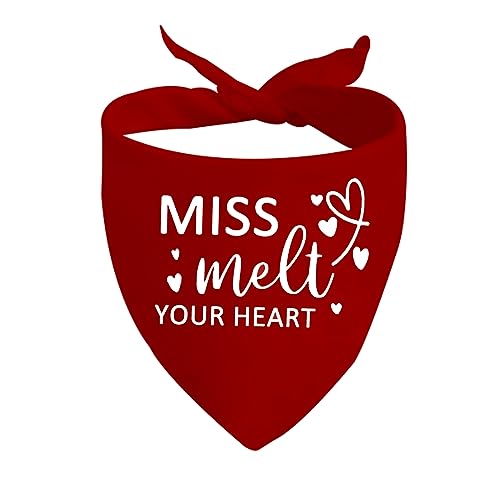 JXGZSO 1 Stück Miss Melt Your Heart Bandanan Valentinstag Bandana Valentinstag Haustier Zubehör (Melt Your Heart D) von JXGZSO