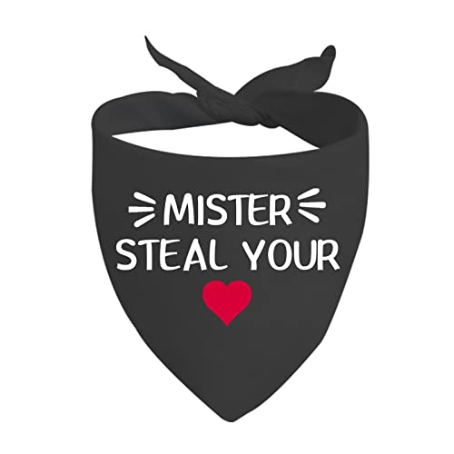 JXGZSO 1 Stück Mister Steal Your Heart Hundeschal Valentinstag Bandana Valentinstag Hundeschal (Mister Steal D) von JXGZSO