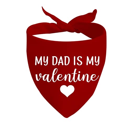 JXGZSO 1 Stück My Mom/Dad is My Valentine Hundehalstuch, Valentinstag, Geschenk (Dad is my Valentine D) von JXGZSO