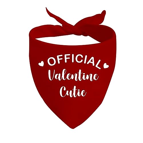 JXGZSO 1 Stück Offizielles Valentine Cutie Bandanan Valentinstag Bandana Valentinstag Haustier Zubehör (Valentine Cutie D) von JXGZSO