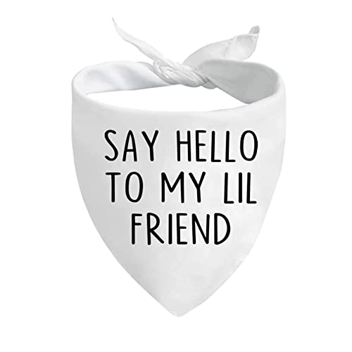 JXGZSO 1 Stück Say Hello to My Lil Friend/Lil Friend Hundehalstuch (My Lil Friend Dog) von JXGZSO