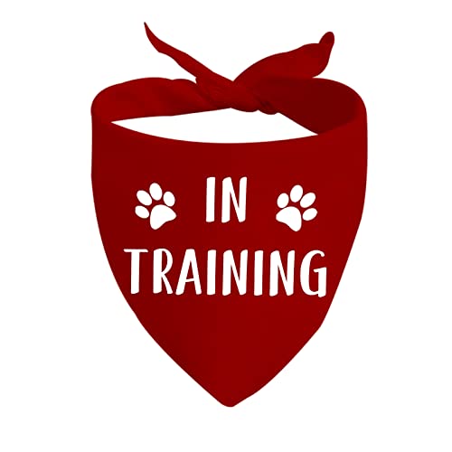 JXGZSO 1 Stück in Training Hundehalstuch Ask to Pet Dog Bandana Give Me Space Dog Bandana Rescue Dog Bandana (im Training) von JXGZSO
