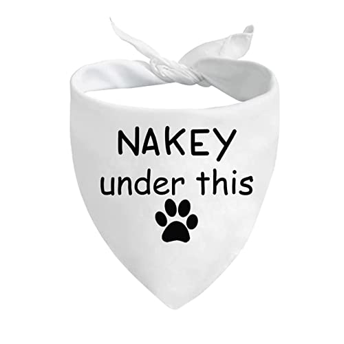 JXGZSO 1 Stück lustiges Hundehalstuch, "I'm Nakey Under This Hundehalstuch" (Nakey Under Dog) von JXGZSO