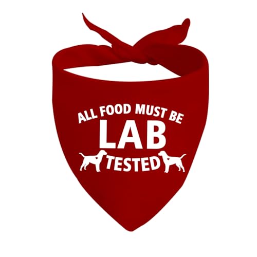 JXGZSO 1 x Halstuch für Hunde mit hungrigem Labrador, alle Lebensmittel müssen im Labor getestet werden, Geschenk für Labrador-Liebhaber, Geschenk (Laborgetesteter Hund) von JXGZSO