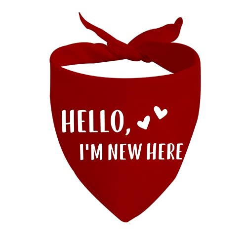 JXGZSO Hundehalstuch, Hello I'm New Here, Hundehalstuch, mit Aufschrift "Hello I'm New Here" von JXGZSO