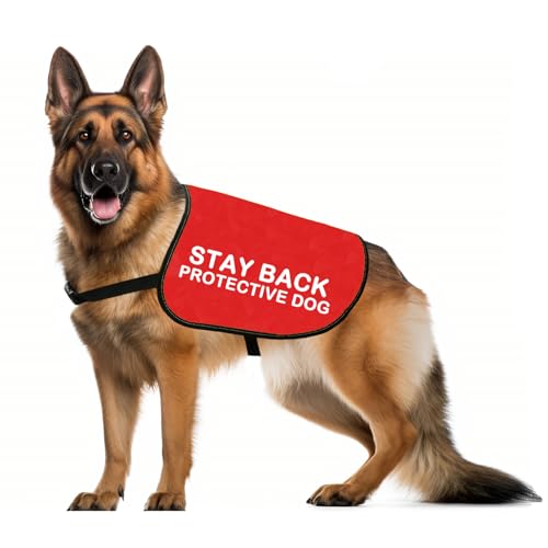 JXGZSO Rescue Dogs Stay Back Schützende Hundejacke Weste ängstliche Hunde Spaziergang Slogan Warnweste (Stay Back M) von JXGZSO
