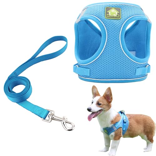 Soft Small Dog Harness and Leash Set Step in Air Mesh Puppy Harness Leash Reflective Adjustable Puppy Vest for Small Dogs Cats.(Blue, L) von JXINLODGEG