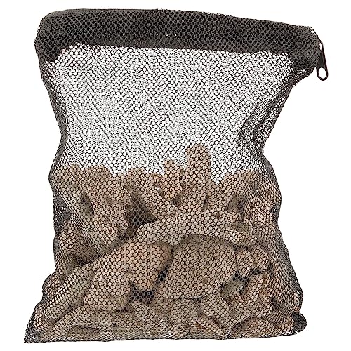 JXJXJX Zerkleinerte Korallen für Süßwasser-Aquarium, Mineralkorallenknochen, Wasserreinigungsfilter, Aquariumfilter, Aquarium-Filtermedien für Aquarium, Haushalt JXJXJX Zerkleinerte Korallen für Süßwasser-Aquarium, Mineralkorallenknochen, Wasserreinigungsfilter, Aquariumfilter, Aquarium-Filtermedien für Aquarium, Haushalt von JXJXJX