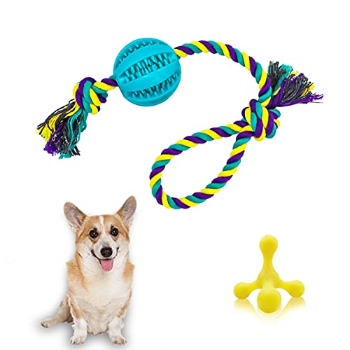 JXUN Hundespielzeug Ball Hundeball Kauspielzeug Robuster aus Naturkautschuk Hundespielball IQ-Trainingsball Interaktives Haustierspielzeug für Mittelgroße und Kleine Hunde Haustiere von JXUN