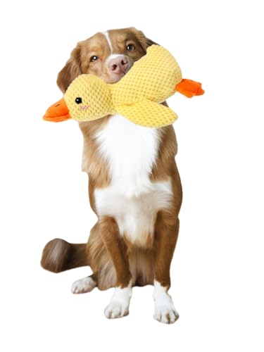 JXpxbao Anti-Stress-Entenhund, gelbes Entenhunde-Quietschspielzeug, interaktives Hundespielzeug, Entenhundespielzeug verschleißfest und bissfest (gelb) (Ente mittel) von JXpxbao