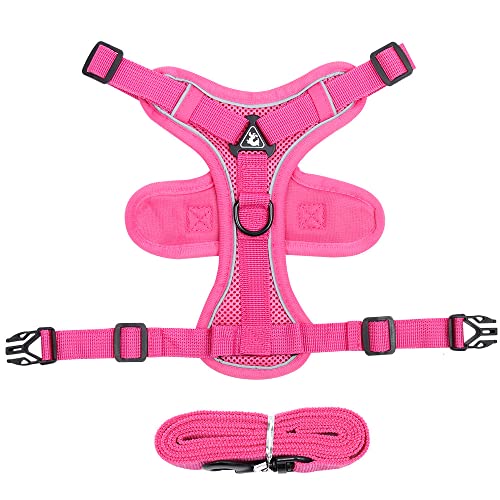 JXpxbao Katzengeschirr Mit Leine Softgeschirr Für Katze Brustgeschirr Cat Harness Katzengarnitur Ausbruchsicher Verstellbar Katzenweste Mit Reflektierenden Streifen (M,Farbe-5) von JXpxbao