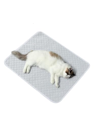 Kühlmatte für Hunde, Kühldecke Hund, Kühlende Hundematte mit Ungiftiges Gel, Kühlmatten Haustiere, Kühlpads Gel, Kühldecke Sommer für Zuhause, Weggehen oder im Auto (M, 60x 45cm) (Grau,L77*55) von JXpxbao
