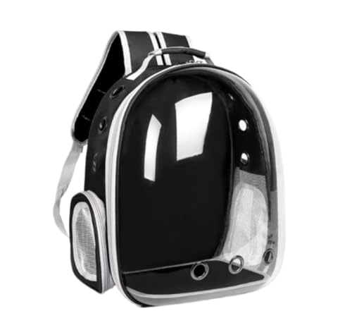 Transportbox für Haustiere Haustier-Rucksack, Tragetasche, Transparente Umhängetasche, Tragbare Tasche, Atmungsaktives Netz Hunde Tragebox (Color : B, Size : 31 * 28 * 42cm) von JYARZ