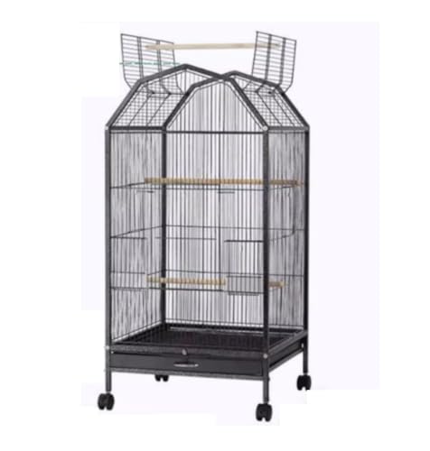 Wellensittich Käfig 40-Zoll-Vogelkäfig Aus Schmiedeeisen Mit Offener Spielfläche Und Rollständer Für Papageien, Nymphensittiche, Sonnensittiche Papageienkäfig von JYARZ