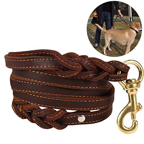 JYHY Hundeleine aus Leder mit Doppelgriff, 1,8 m lang und 1,6 cm breit, geflochtene Hundeleine aus echtem Leder für große, mittelgroße und kleine Hunde, Training und Spaziergänge von JYHY