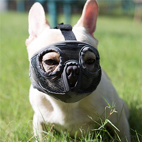 JYHY Maulkorb für Hunde mit abgeflachter SchnauzeFranzösische Bulldogge Maulkorb -verstellbar, atmungsaktiv: Französische Bulldogge, Pekingese, Shih-Tzu, Mops (Grau, L(38-64cm)) von JYHY