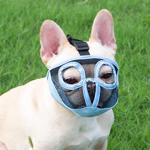 JYHY Maulkorb für Hunde mit abgeflachter SchnauzeFranzösische Bulldogge Maulkorb -verstellbar, atmungsaktiv: Französische Bulldogge, Pekingese, Shih-Tzu, Mops (Blau, S(23-31cm)) von JYHY