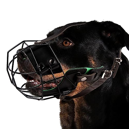 JYHY Pitbull Hundemaulkorb - Metallmaske Amstaff Drahtkorb Atmungsaktiv Verstellbar Atmungsaktiv Lederriemen für Große Hunde von JYHY