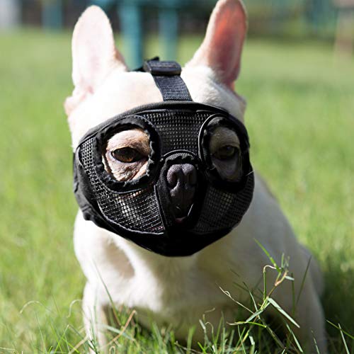 JYHY Maulkorb für Hunde mit abgeflachter SchnauzeFranzösische Bulldogge Maulkorb -verstellbar, atmungsaktiv: Französische Bulldogge, Pekingese, Shih-Tzu, Mops (Schwarz, S(23-31cm)) JYHY Maulkorb für Hunde mit abgeflachter SchnauzeFranzösische Bulldogge Maulkorb -verstellbar, atmungsaktiv: Französische Bulldogge, Pekingese, Shih-Tzu, Mops (Schwarz, S(23-31cm)) von JYHY